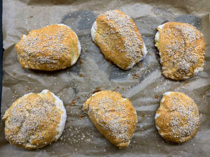 fertige-Buns